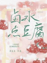 卤水点豆腐