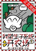 我带生子系统开农场