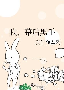 我，幕后黑手