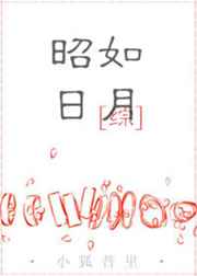 昭如日月